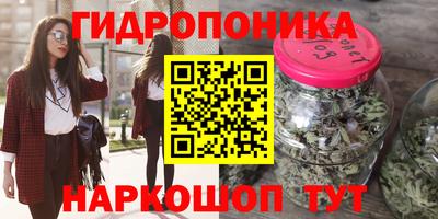 скорость Новодвинск