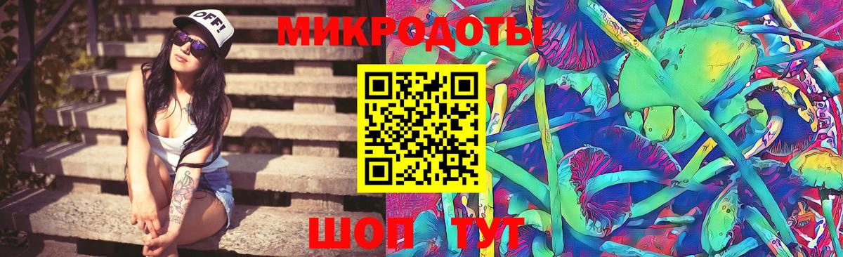 Псилоцибиновые грибы Psilocybe  Вход с VPN  Трёхгорный 